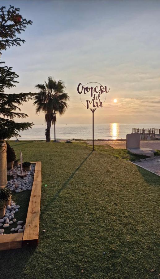 Las Terrazas - Primera Linea De Playa Con Netflix, Disney, Movistar Con Todo El Futbol, Series, Cine Y Prime Video Oropesa del Mar Eksteriør bilde
