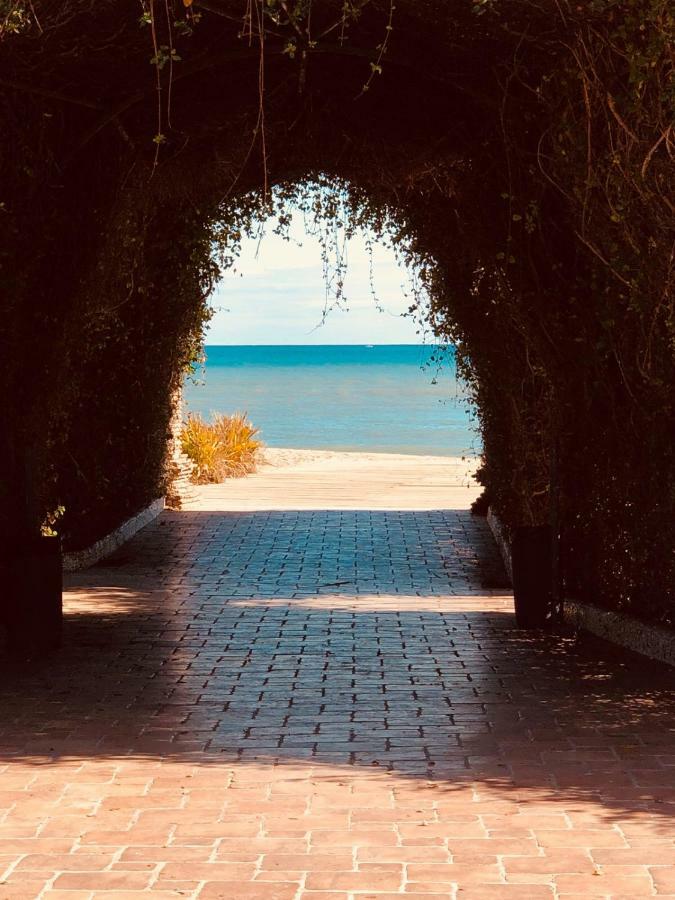 Las Terrazas - Primera Linea De Playa Con Netflix, Disney, Movistar Con Todo El Futbol, Series, Cine Y Prime Video Oropesa del Mar Eksteriør bilde